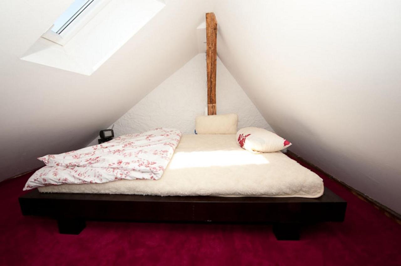 City Lux Apartment In Der Stadt Freiburg im Breisgau Ngoại thất bức ảnh